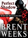 Perfect Shadow (eBook)